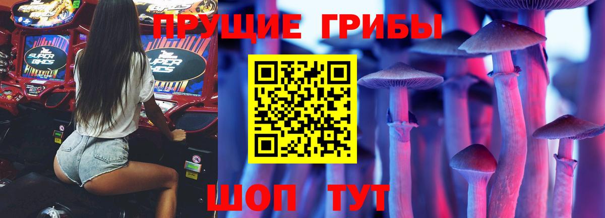 Галлюциногенные грибы MAGIC MUSHROOMS  Вход с VPN  Рязань 