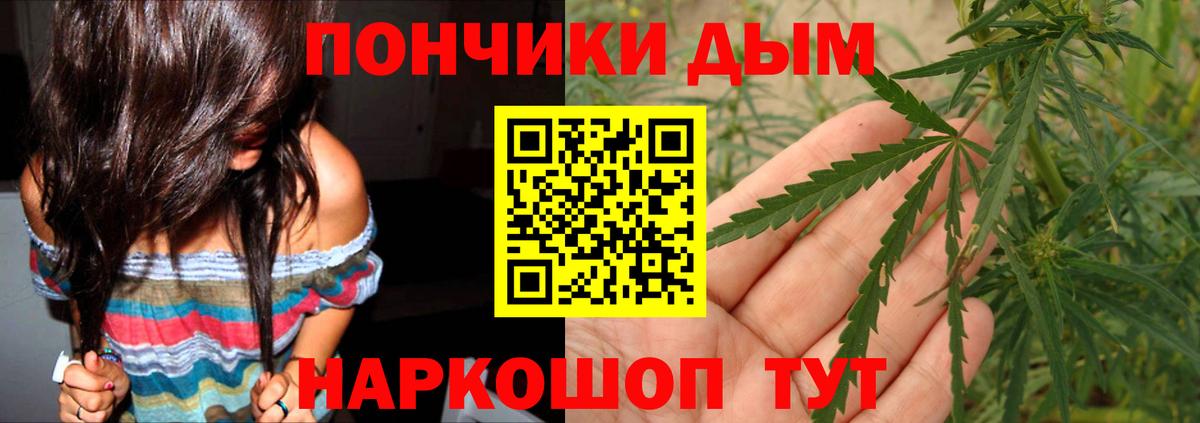 Бошки Шишки семена  Канабис гибрид  Рязань  Вход с VPN  Марихуана план  Каннабис семена 